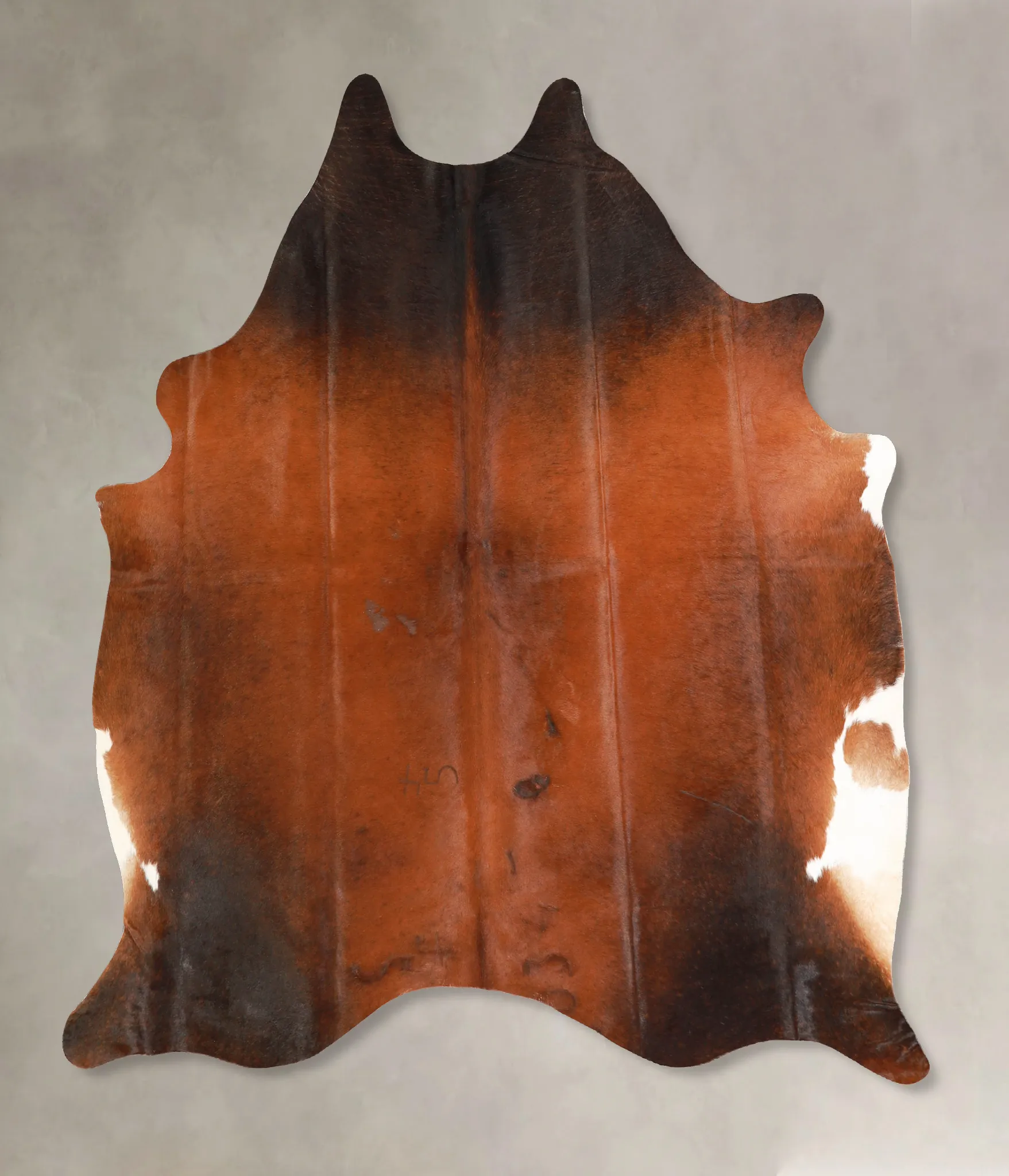 Warm Caramel Large Brazilian Cowhide Rug 5'11"H x 5'7"W #A35116 by Hudson Hides