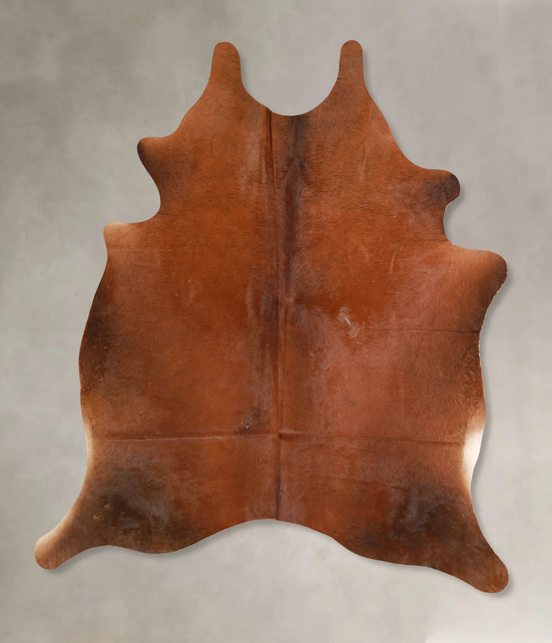 Warm Caramel Large Brazilian Cowhide Rug 6'4"H x 5'7"W #A35047 by Hudson Hides