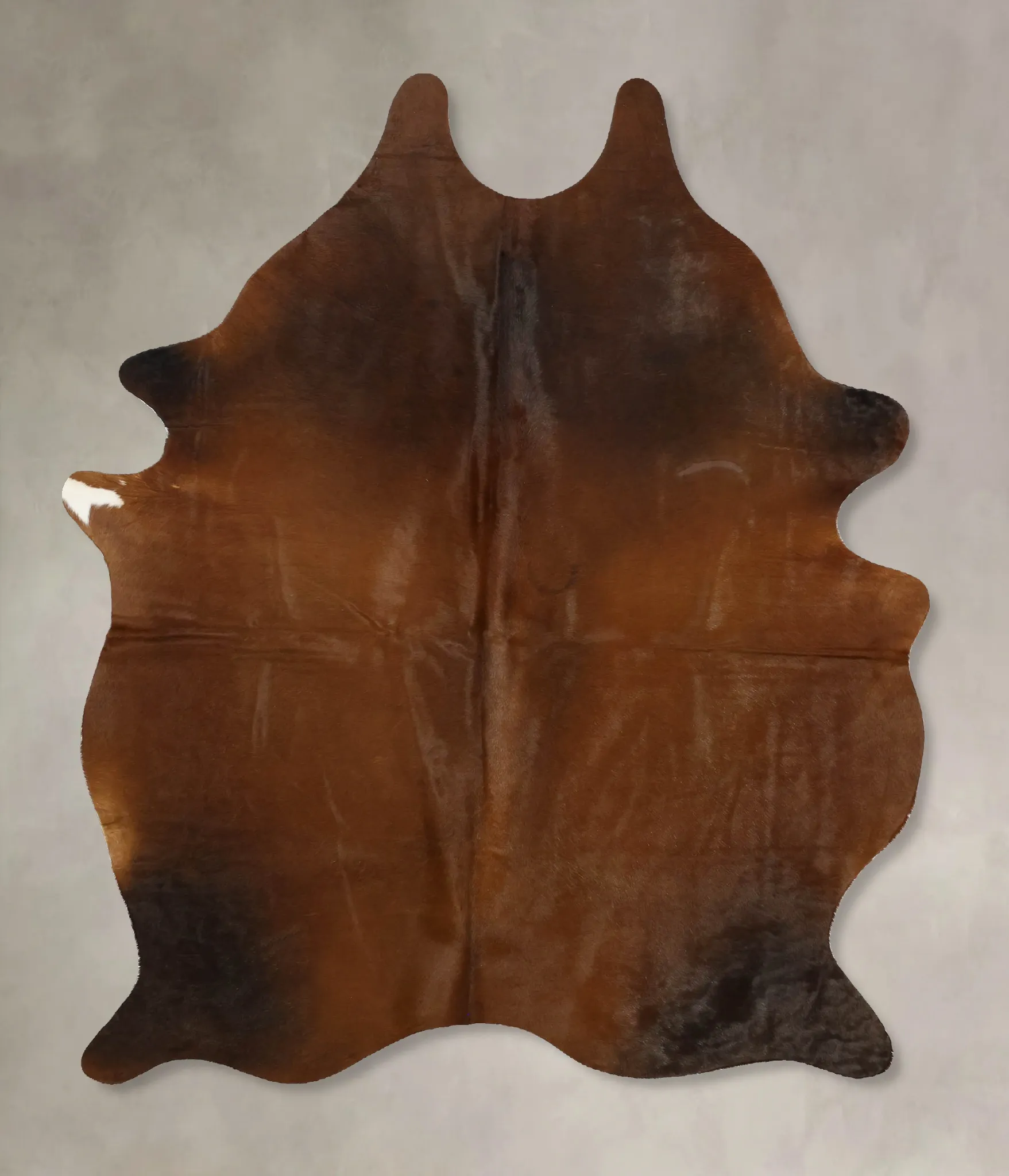 Warm Caramel Large Brazilian Cowhide Rug 6'8"H x 4'9"W #B11330 by Hudson Hides