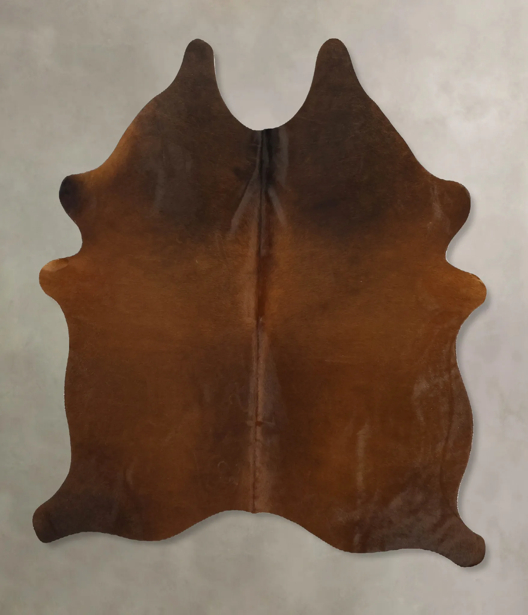 Warm Caramel Medium Brazilian Cowhide Rug 5'4"H x 4'9"W #B11396 by Hudson Hides