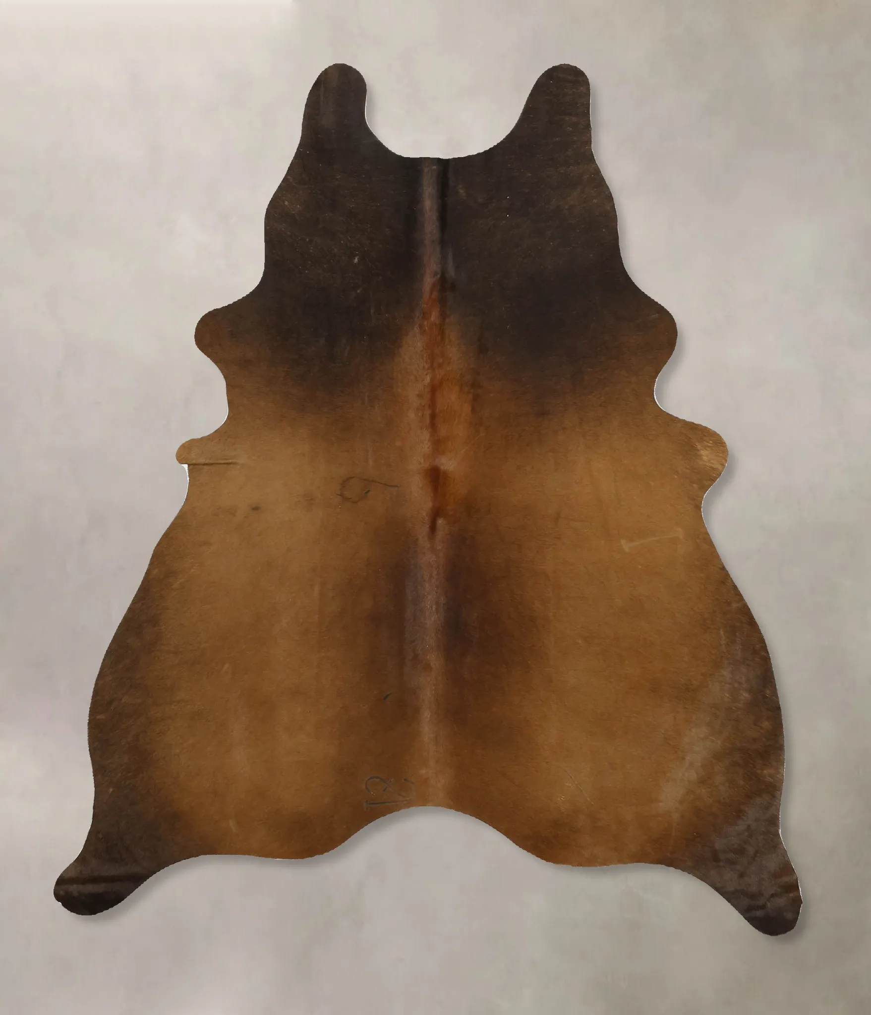 Warm Caramel Medium Brazilian Cowhide Rug 5'7"H x 4'5"W #B11037 by Hudson Hides