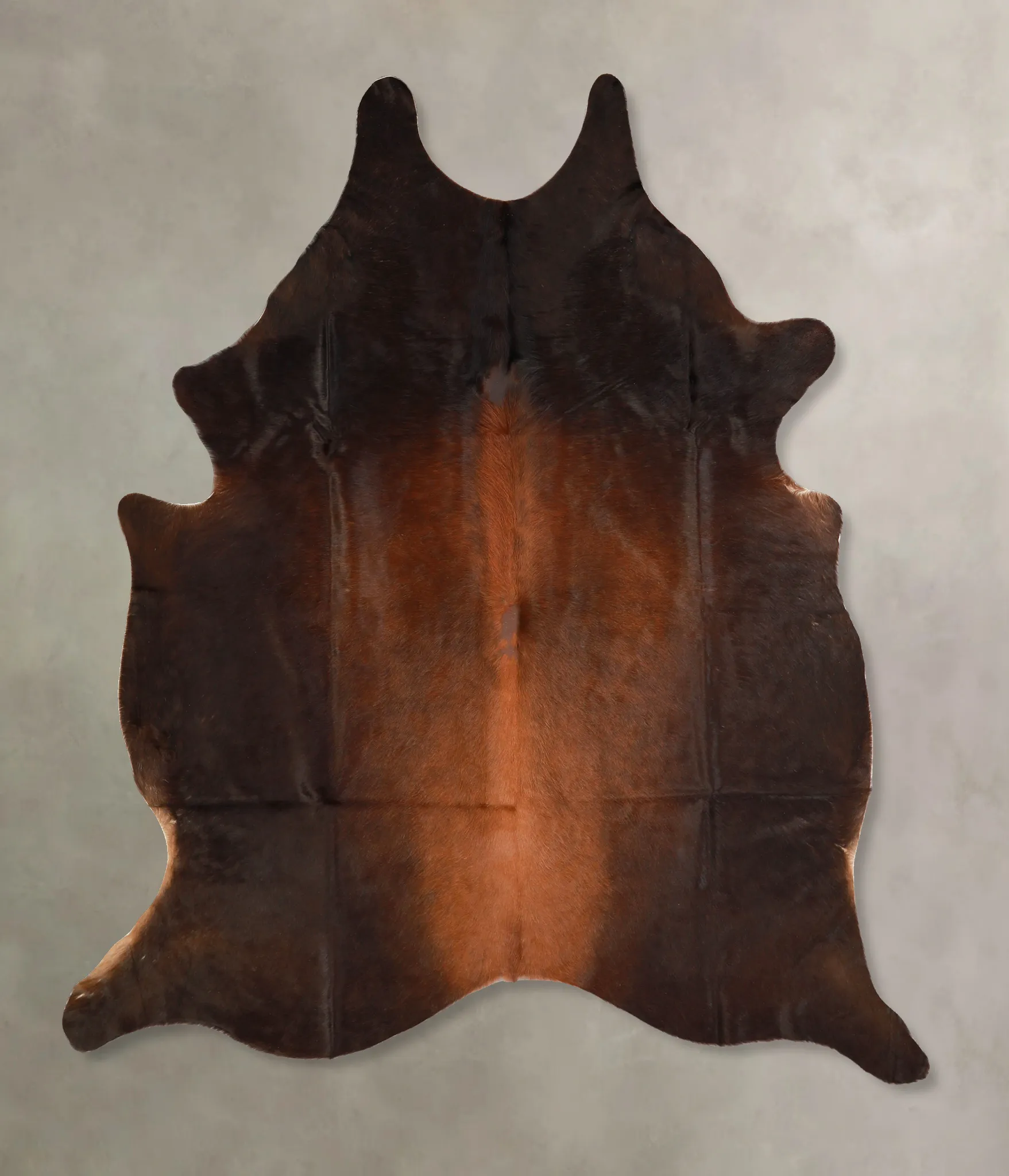 Warm Caramel X-Large Brazilian Cowhide Rug 6'10"H x 5'11"W #A35025 by Hudson Hides