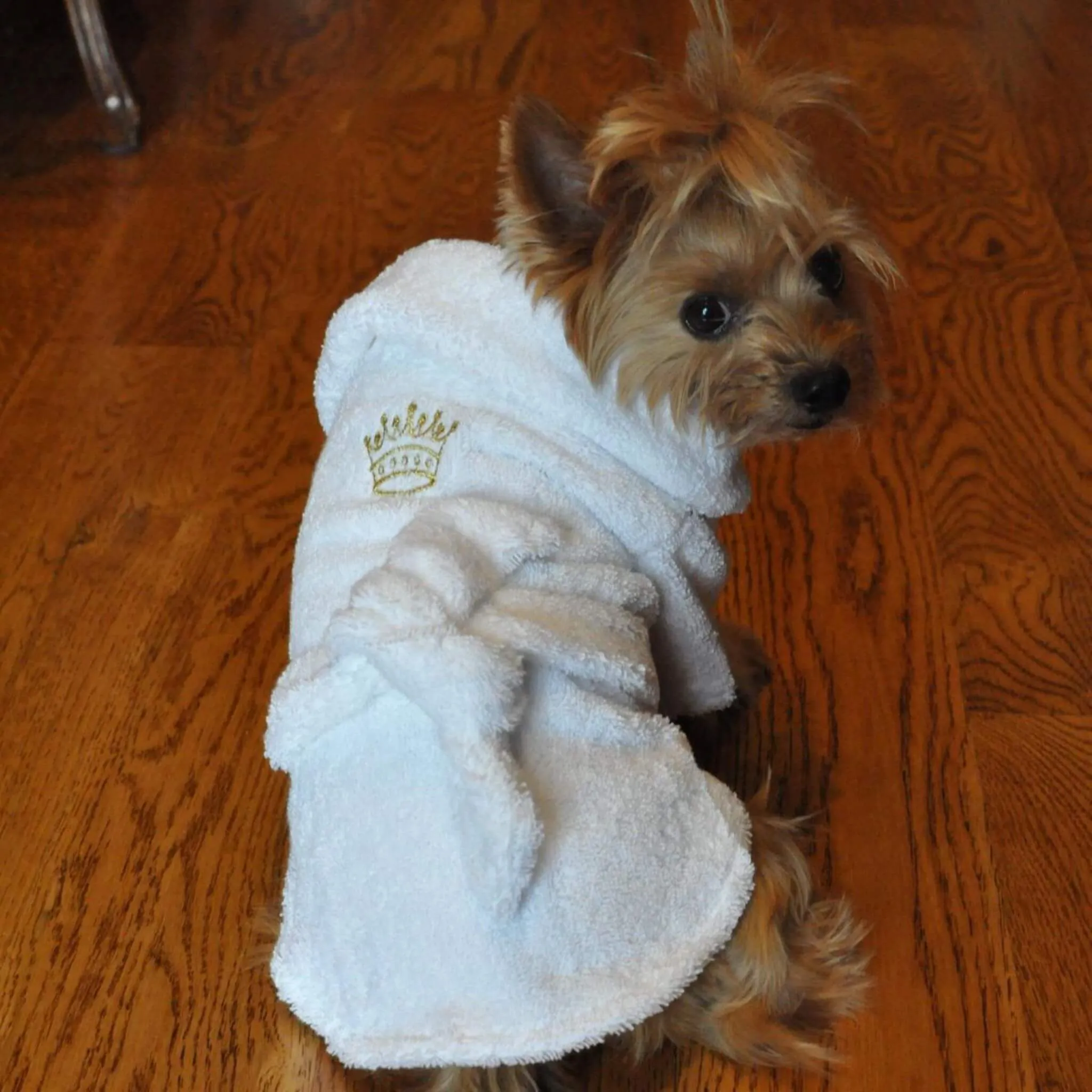 White Gold Crown Cotton Dog Bathrobe